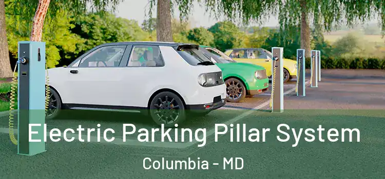 Electric Parking Pillar System Columbia - MD
